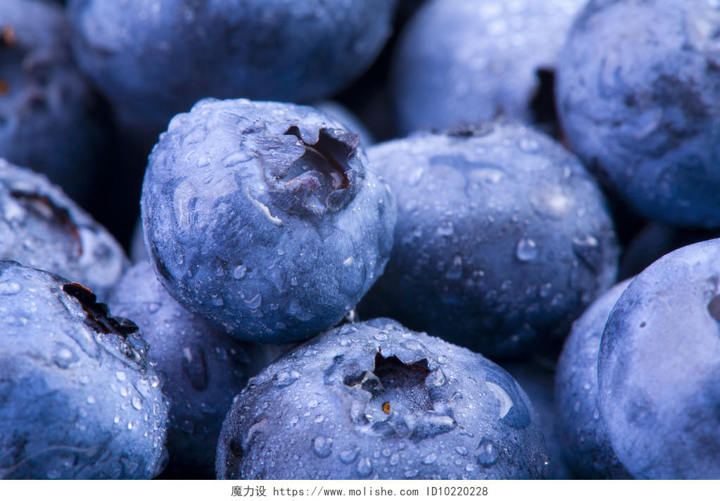新鲜蓝莓诱人蓝莓新鲜水果水珠洗干净的蓝莓